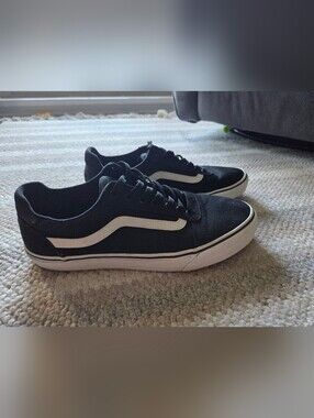 Vans Black Low-Top Sneakers with White Side Stripe - Men